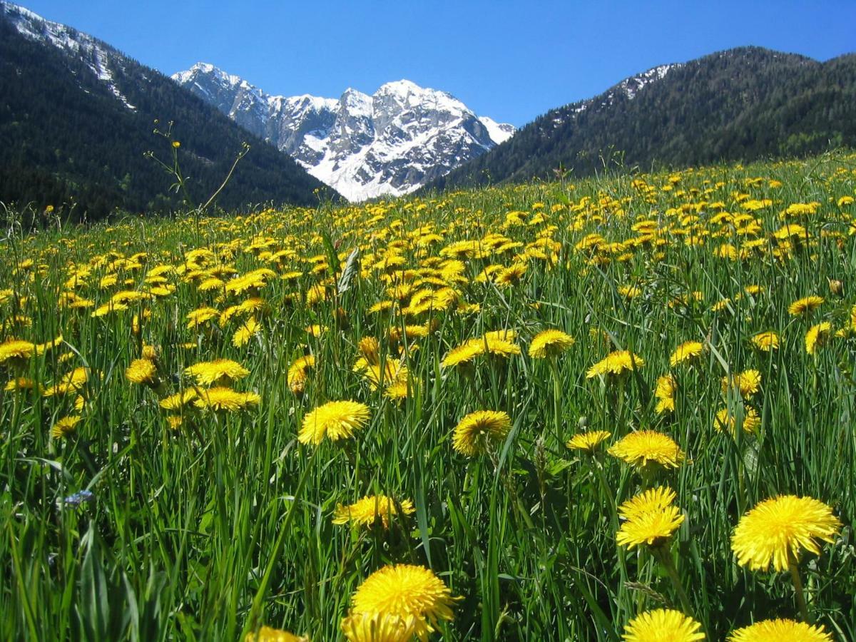 列兴Bio-Bergbauernhof Ederhias别墅 外观 照片